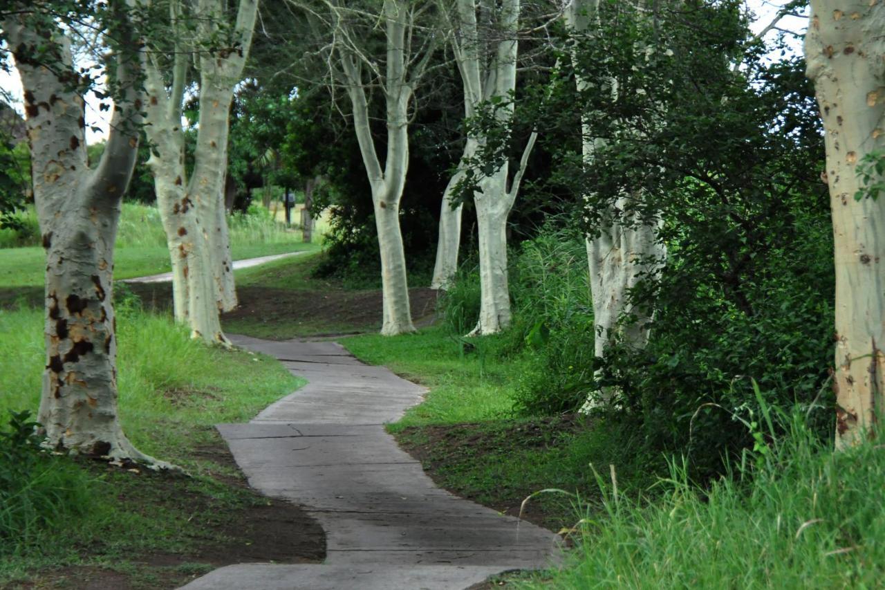 Kruger Park Lodge Unit No. 608A 雾观 外观 照片