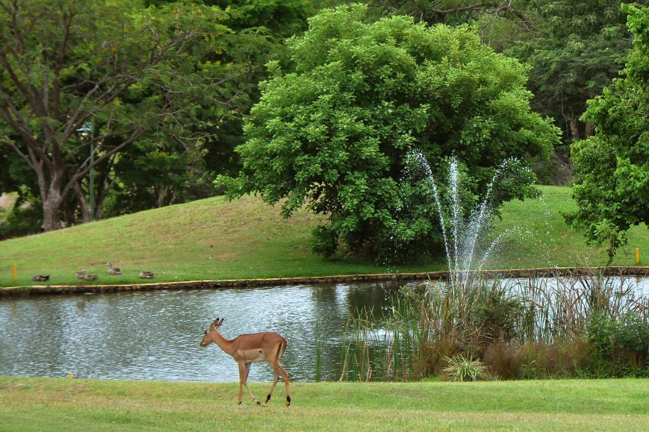 Kruger Park Lodge Unit No. 608A 雾观 外观 照片